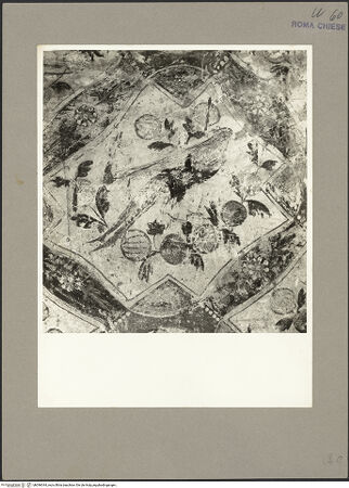 Vorderseite von Hutzel, Max [https://www.deutsche-digitale-bibliothek.de/content/lizenzen/rv-ez/] Vita des heiligen Alexius - , bh096344_recto. Foto: Hutzel, Max.