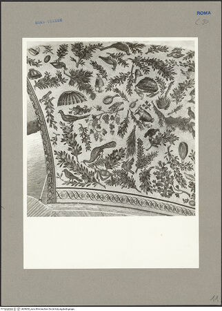 Vorderseite von Hutzel, Max [https://www.deutsche-digitale-bibliothek.de/content/lizenzen/rv-fz/] Mosaik mit Pflanzen, Vögeln und weiteren Motiven - Detail, bh096382_recto. Foto: Hutzel, Max.