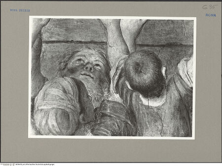 Vorderseite von bh096430_recto