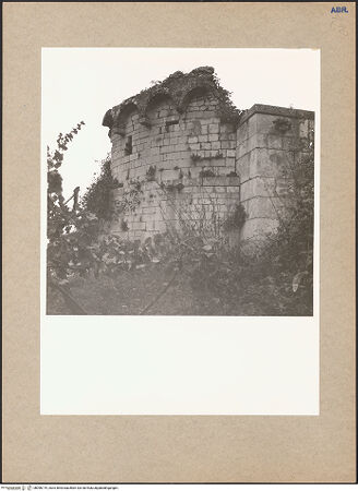 Vorderseite von bh096719_recto