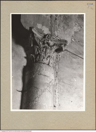 Vorderseite von Hutzel, Max [https://www.deutsche-digitale-bibliothek.de/content/lizenzen/rv-ez/] Seitenansicht, bh097044_recto. Foto: Hutzel, Max.