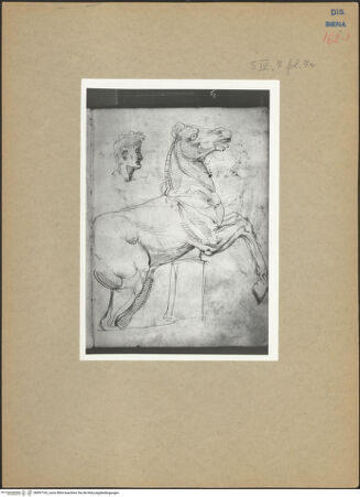 Vorderseite von bh097163_recto