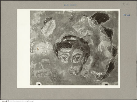 Vorderseite von bh098197_recto