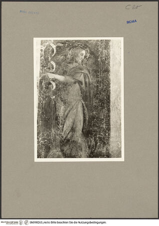 Vorderseite von bh098263_recto