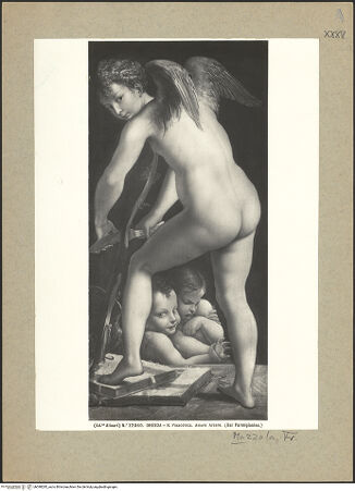 Vorderseite von bh098285_recto