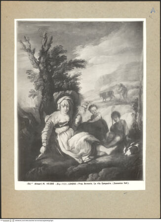 Vorderseite von bh098339_recto