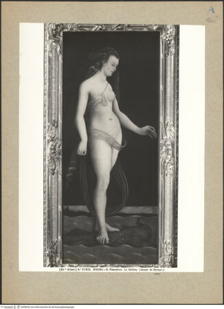 Vorderseite von bh098350_recto