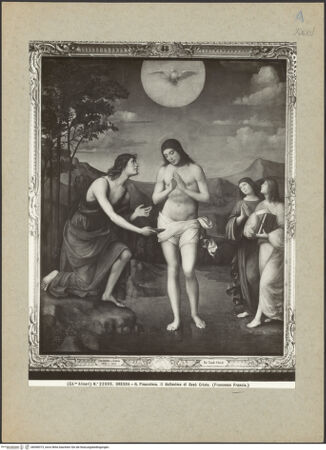 Vorderseite von bh098373_recto