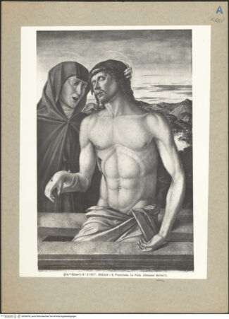 Vorderseite von bh098395_recto