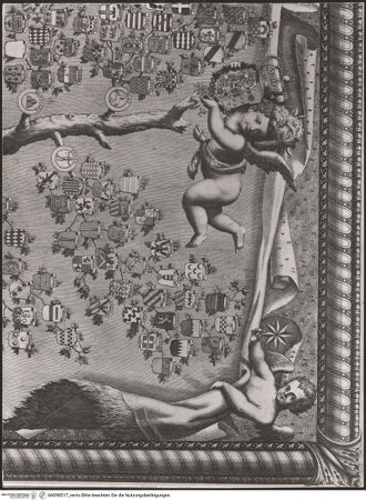 Vorderseite von Sopr. BAS NA [https://www.deutsche-digitale-bibliothek.de/content/lizenzen/rv-ez/] Mappa topografica della città di Napoli e de' suoi contorni - Tafel G/1 (De Seta: Tafel 7), bh098517_recto. Foto.