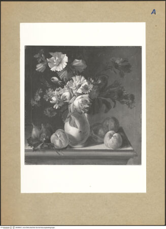 Vorderseite von bh098531_recto