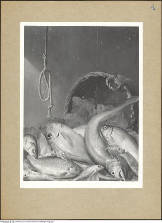 Vorderseite von bh098533_recto