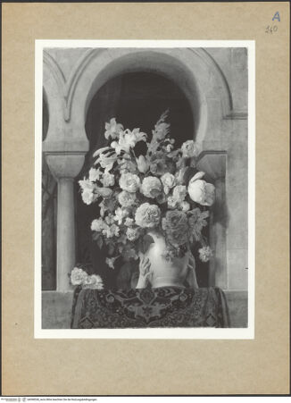 Vorderseite von bh098538_recto