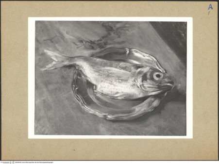 Vorderseite von bh098545_recto