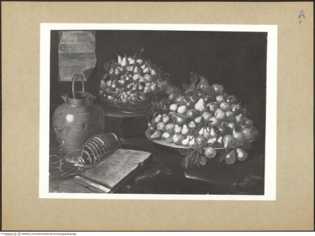 Vorderseite von bh098563_recto