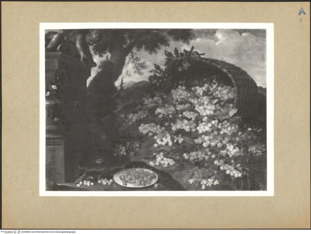 Vorderseite von bh098564_recto