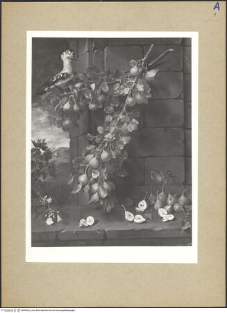 Vorderseite von bh098565_recto