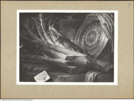 Vorderseite von bh098567_recto