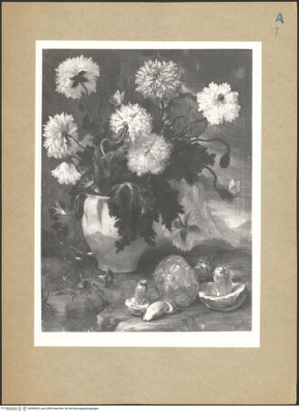 Vorderseite von bh098569_recto