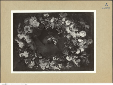 Vorderseite von bh098570_recto