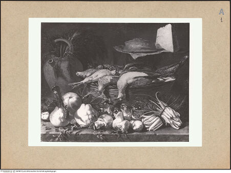 Vorderseite von bh098573_recto