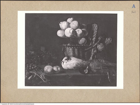 Vorderseite von bh098574_recto