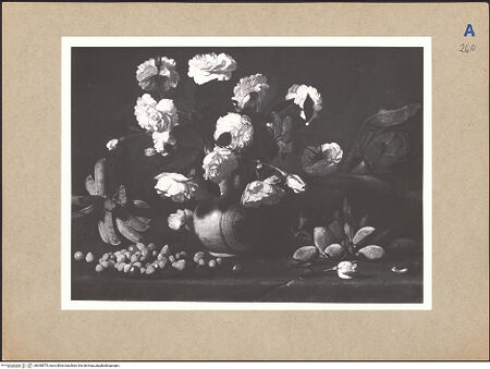 Vorderseite von bh098575_recto