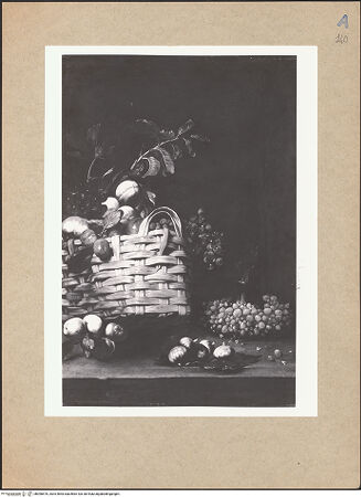 Vorderseite von bh098576_recto