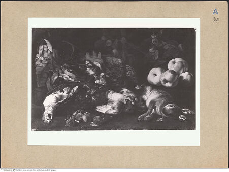 Vorderseite von bh098577_recto