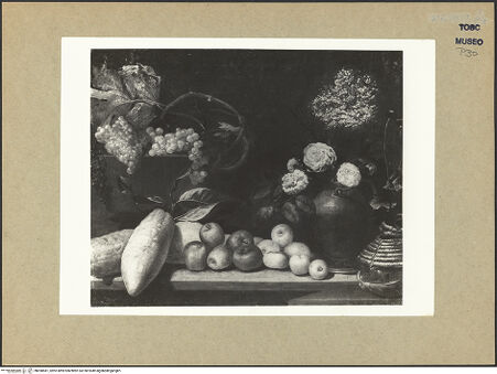 Vorderseite von bh098581_recto