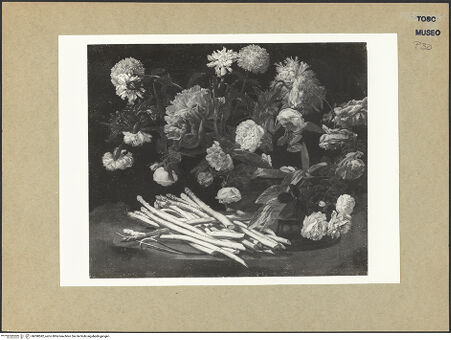 Vorderseite von bh098582_recto