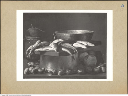 Vorderseite von bh098585_recto