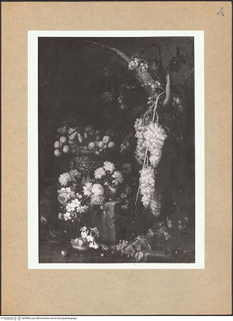 Vorderseite von bh098595_recto