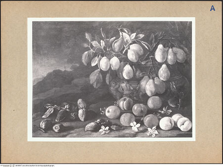 Vorderseite von bh098597_recto