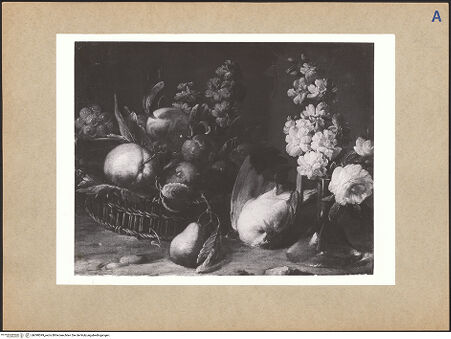 Vorderseite von bh098599_recto