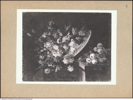 Vorderseite von bh098600_recto