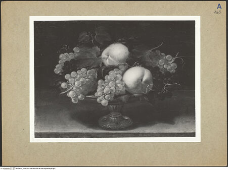 Vorderseite von bh098605_recto