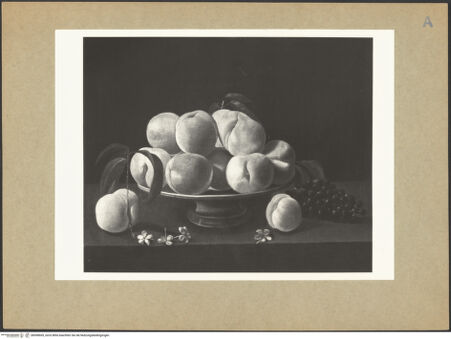 Vorderseite von bh098609_recto