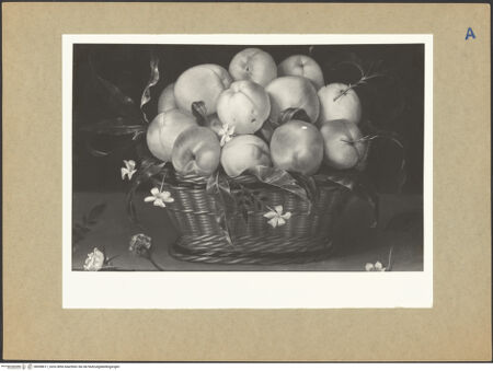 Vorderseite von bh098611_recto