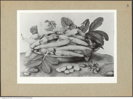 Vorderseite von bh098613_recto