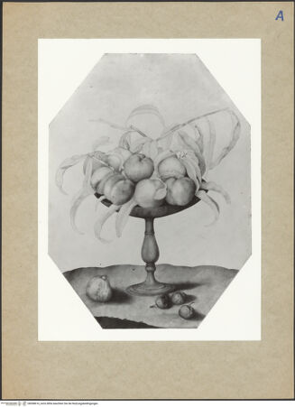 Vorderseite von bh098616_recto