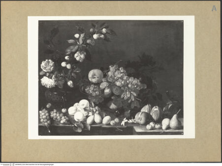 Vorderseite von bh098650_recto