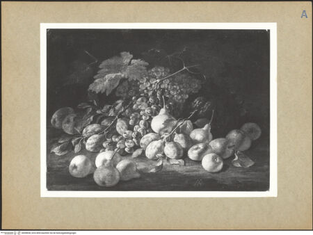 Vorderseite von bh098658_recto