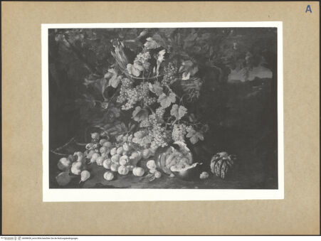 Vorderseite von bh098659_recto