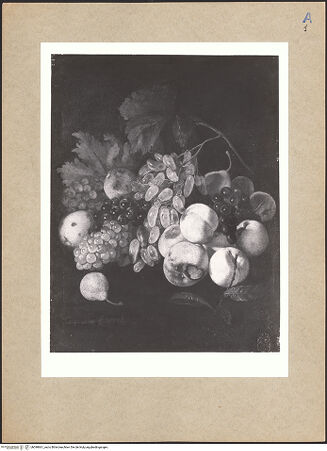 Vorderseite von bh098661_recto