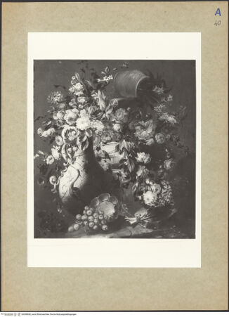 Vorderseite von bh098680_recto