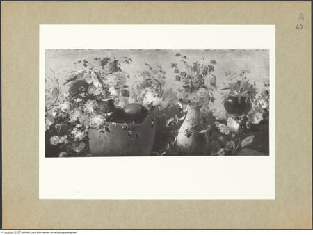 Vorderseite von bh098681_recto