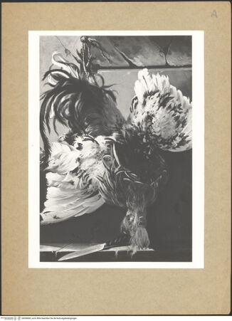 Vorderseite von bh098689_recto