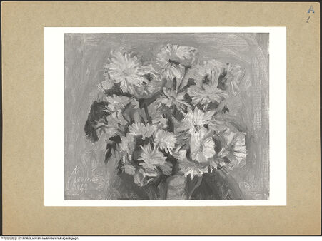 Vorderseite von bh098706_recto