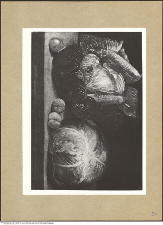 Vorderseite von bh098710_recto